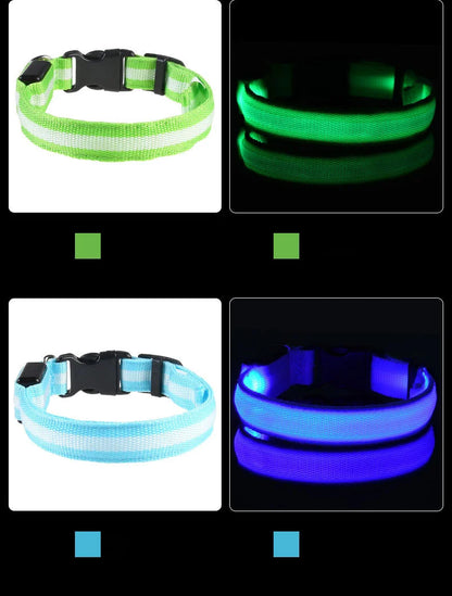 Nylon LED Pet Collar