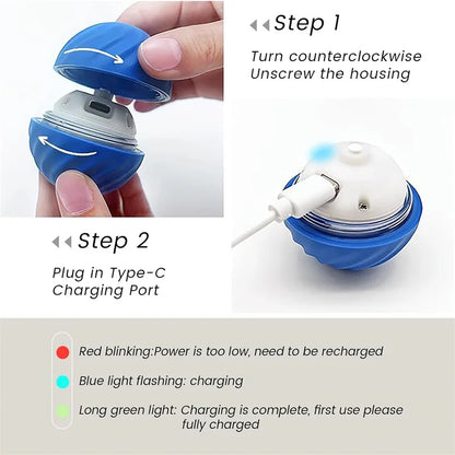 Intelligent Jump Ball Toy for Kittens and Puppies